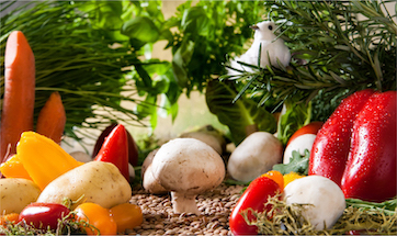 Smart Greenhouse Solutions