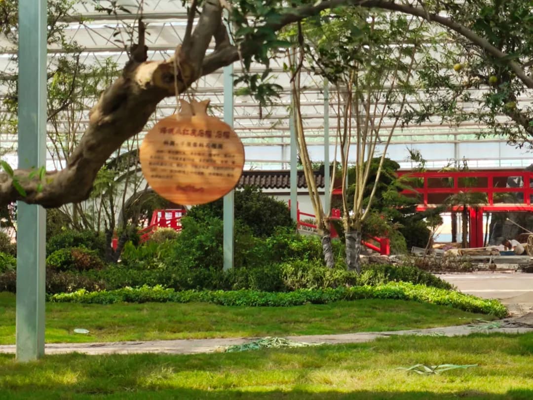 ZUAD Smart Agriculture Empowers Pomegranate Garden