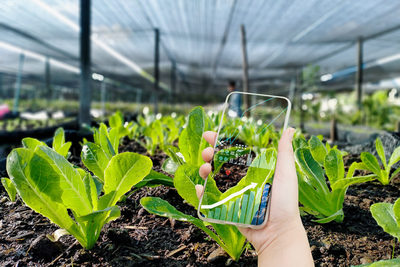 Smart Farming