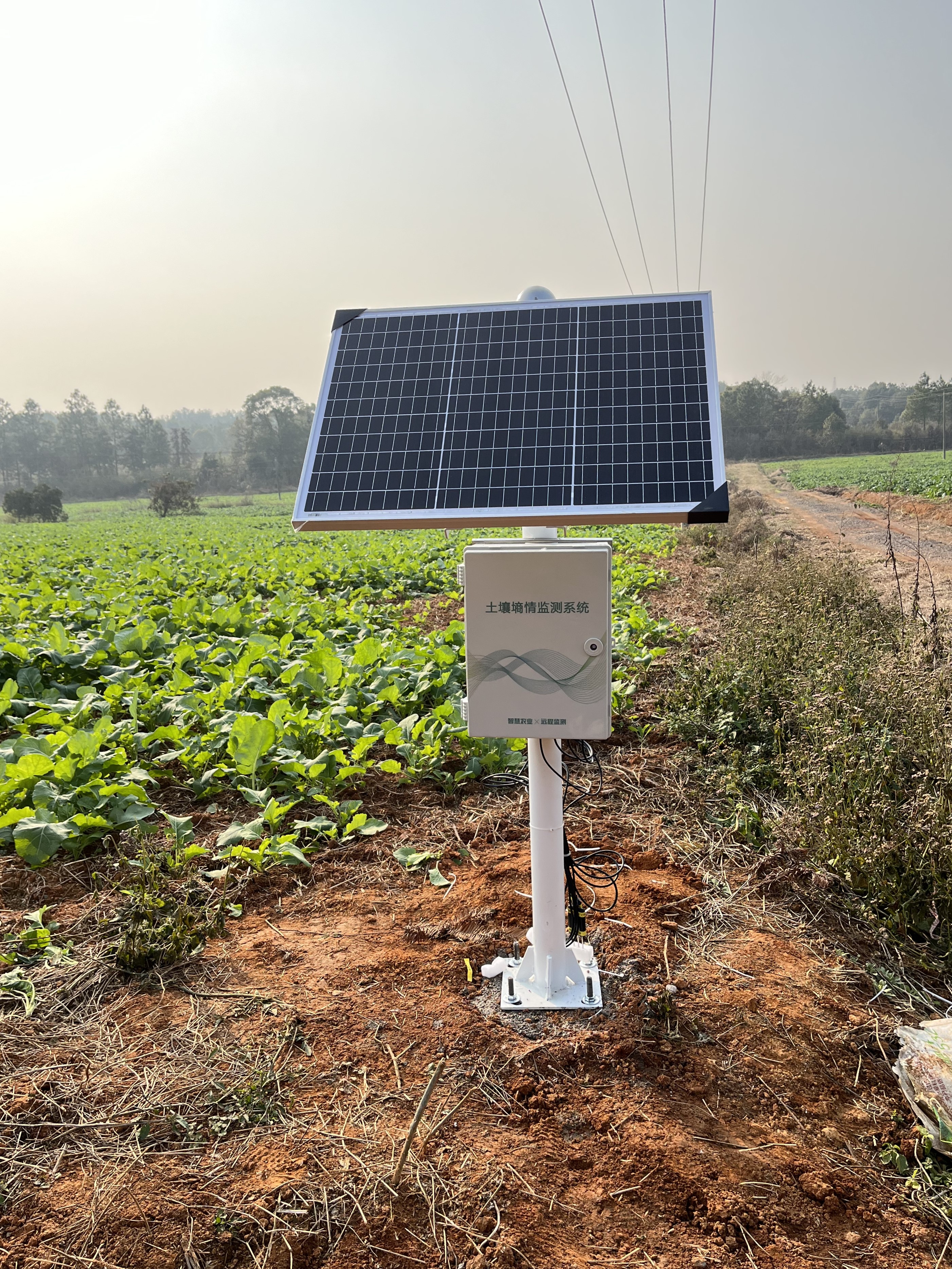 Soil Monitoring