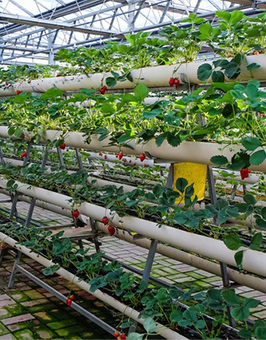 Temperature Control System