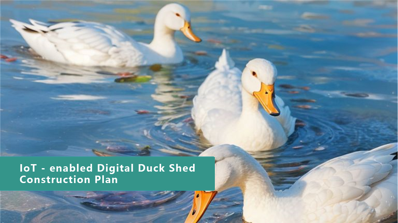 Digital Duck Farming