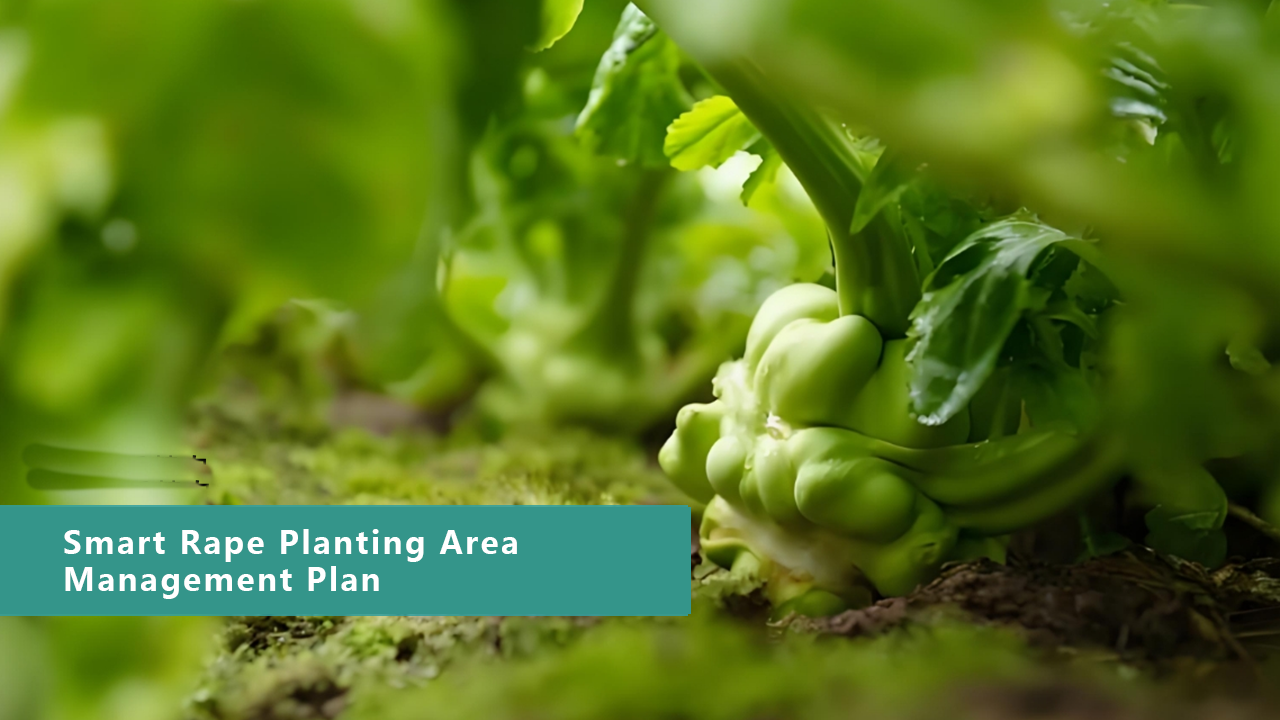 Smart Vegetable Management