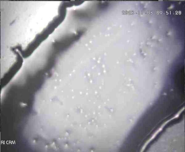 Captured Spore Sample 1