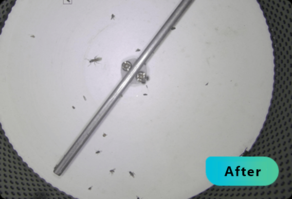 Captured Pest Samples 2
